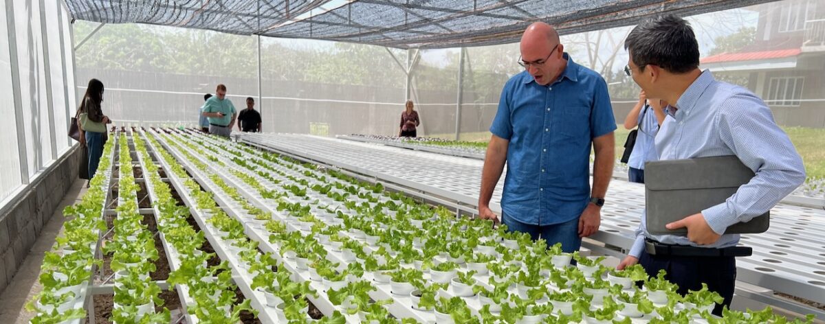 AIIAS Launches “Bethlehem Green” A Hydroponic Greenhouse Project for Ministry